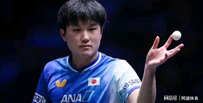 葡萄牙队绝杀法国队，张本智和扛起全队的简单介绍