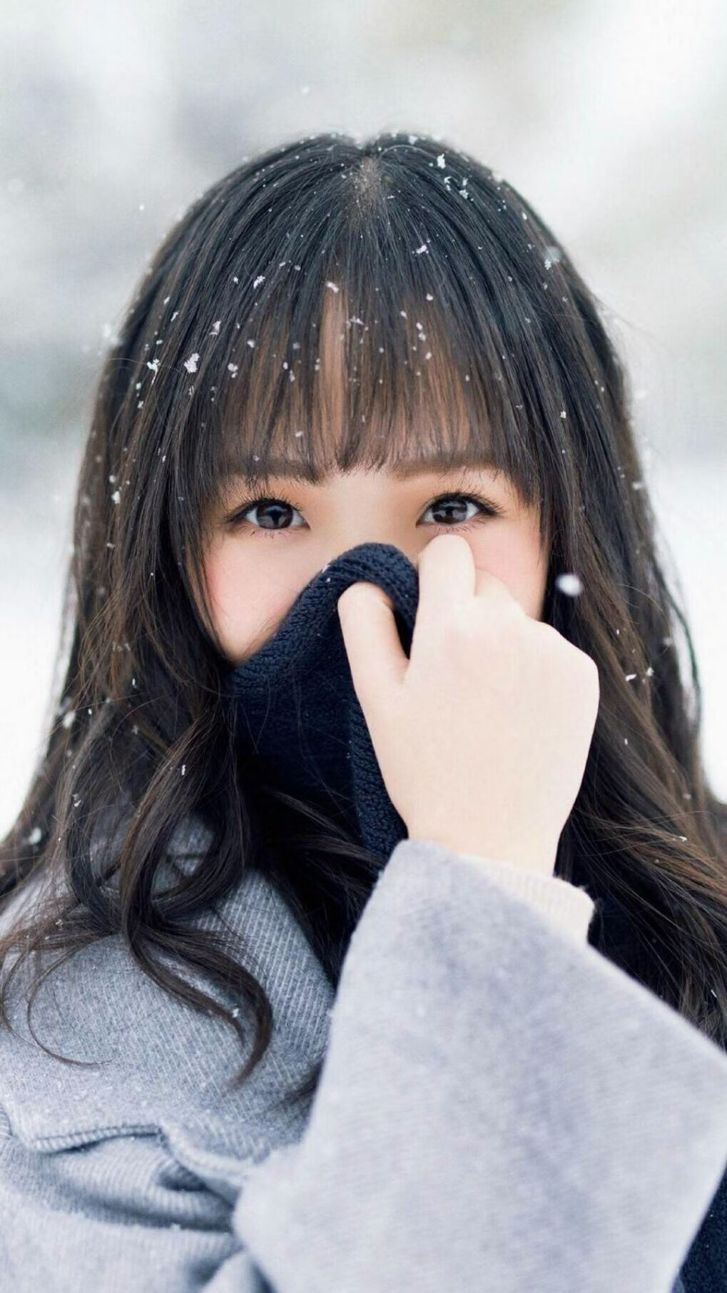 横扫之夜，布克撕裂穹顶，深圳队将猛龙钉入历史尘埃