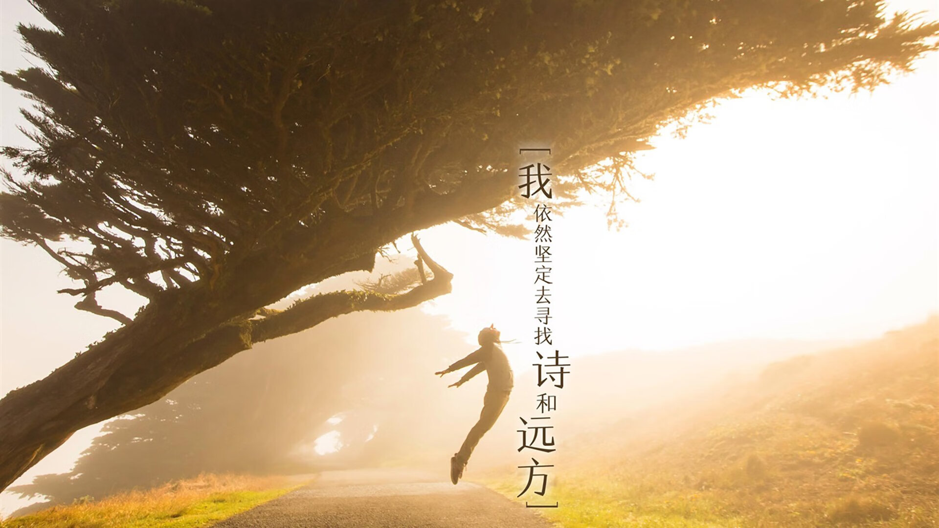 传奇不落幕，马龙一板定江山，中国队长夜横扫东瀛