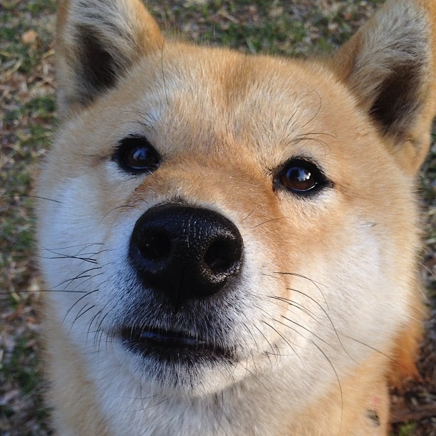 终场哨响时，所有人都成了他个人电影的配角