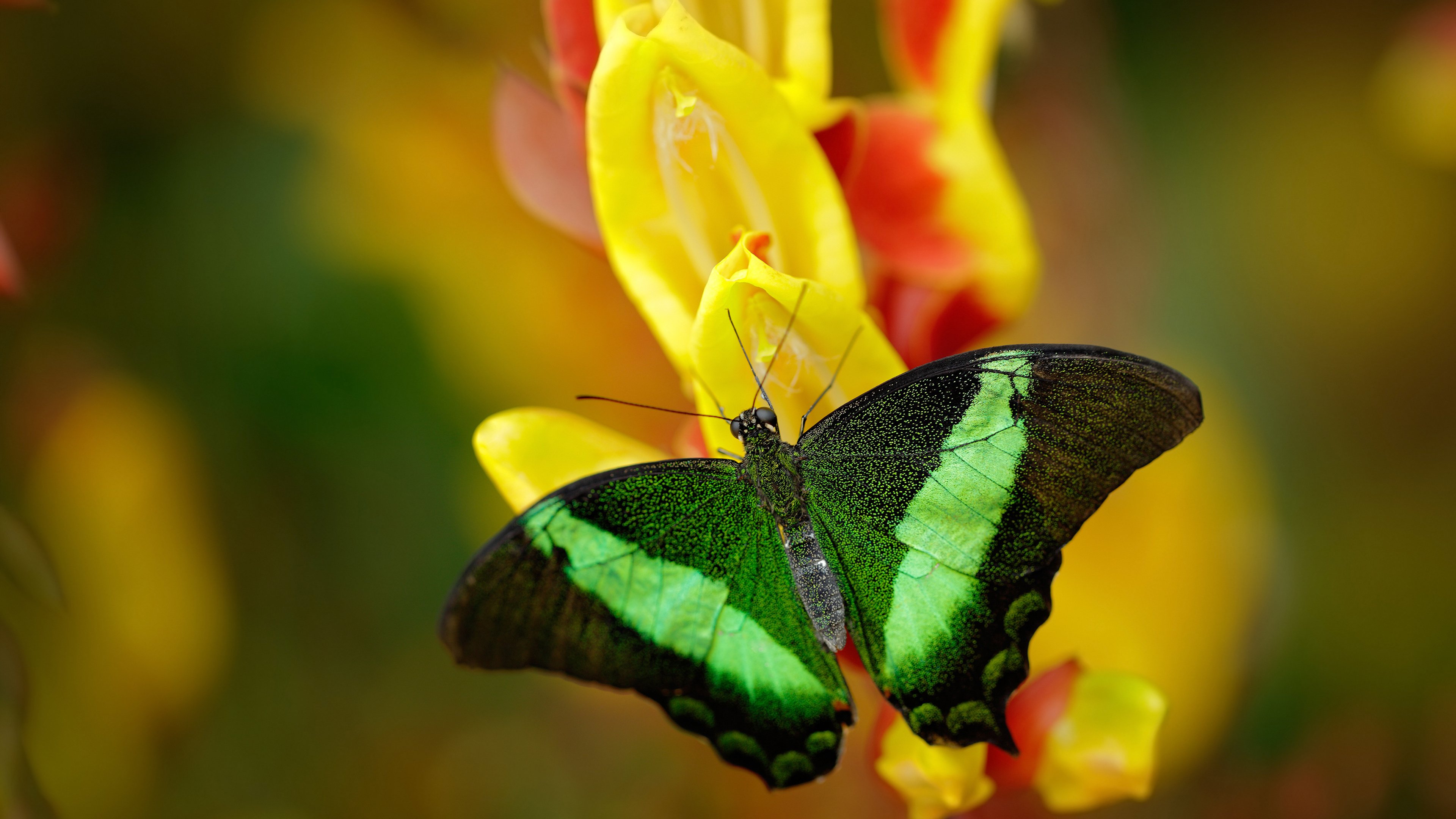 篮球场上的英超魔术师，西决生死战之夜的德布劳内