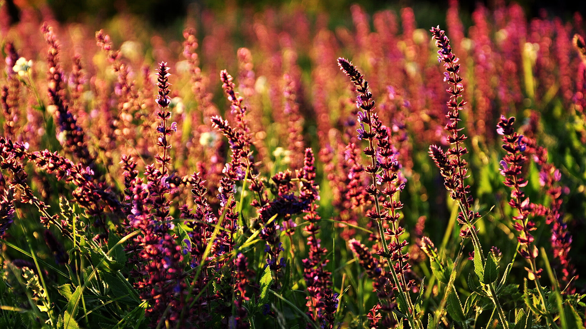 慈善赛惊现本泽马时刻,一剑封喉,让加纳与瑞典的史诗对决提前落幕