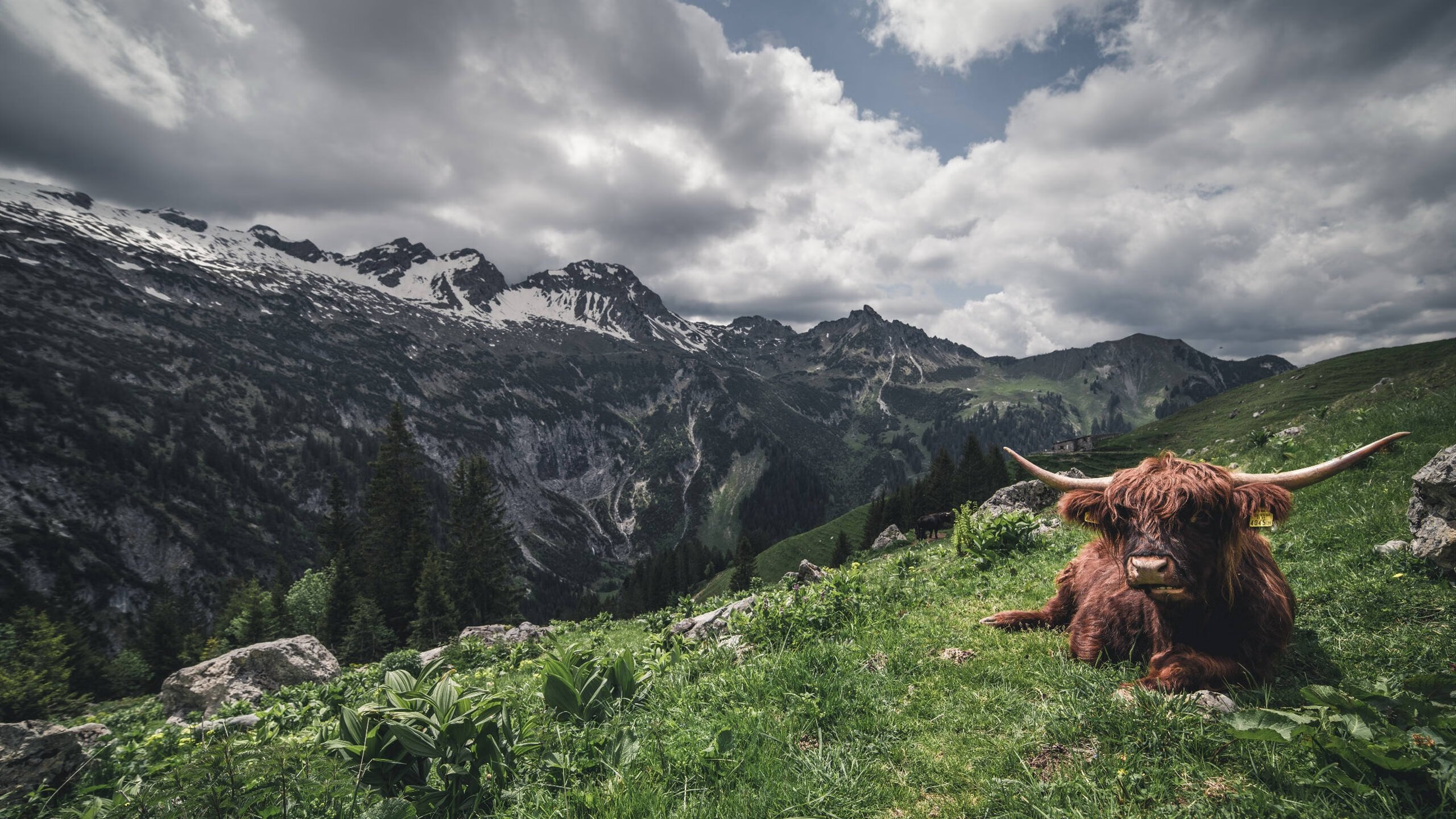 足球的双重奇迹,毕尔巴鄂绝杀阿根廷与厄德高欧冠半决赛的传奇接管
