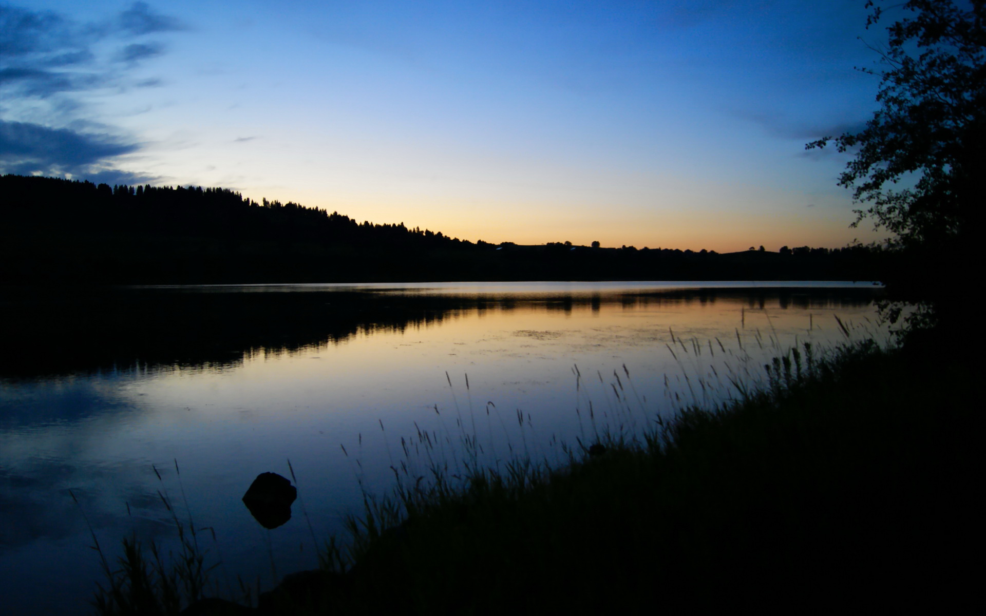 赛道与绿茵,迪巴拉的午夜救赎