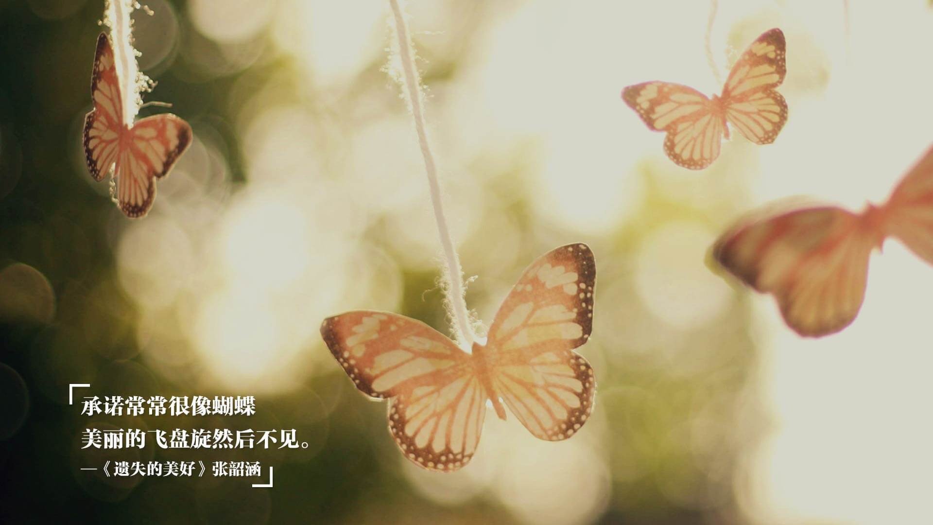 时空重叠的篮筐，当鹈鹕对决尼克斯时，约基奇的影子如何改变一切