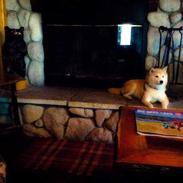 破壁之战，拉文改披火箭战袍，化身关键先生淘汰广厦