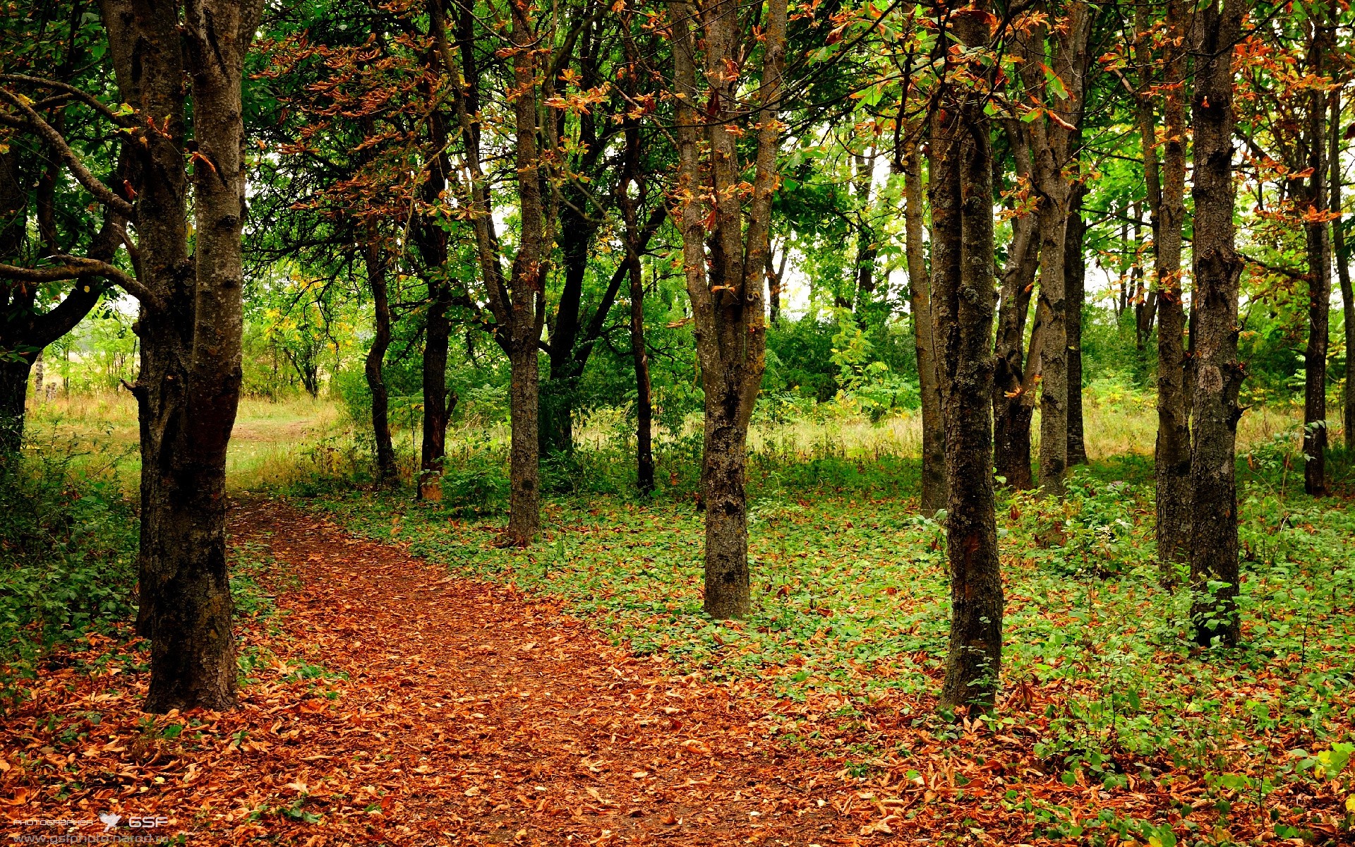 防守觉醒，米切尔的锁链如何冰封黄蜂刺