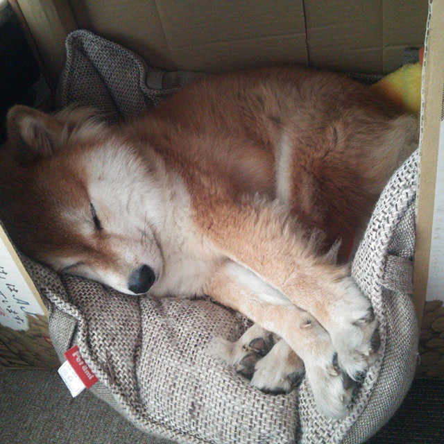 后防磐石与红白利刃，当稳定遇见硬仗