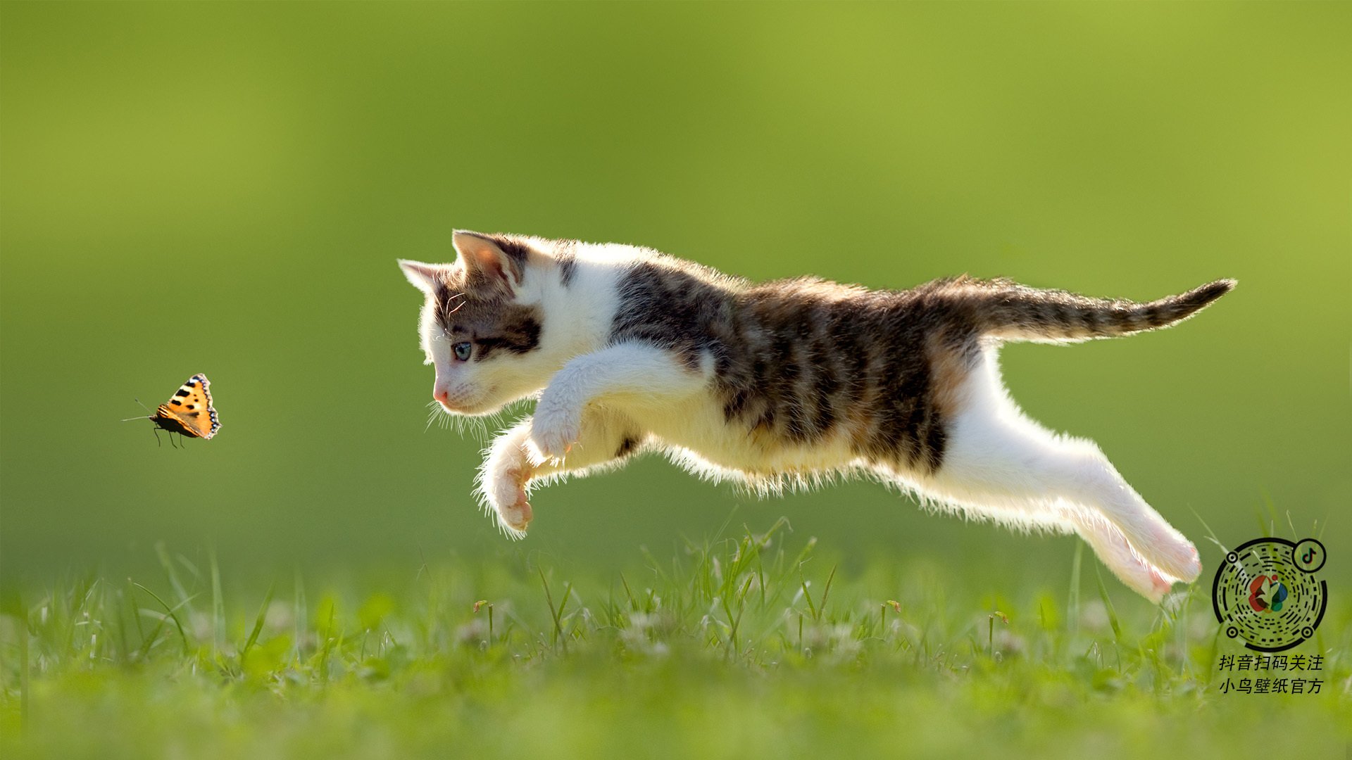 天机乍泄，利拉德在季后赛之夜重构攻防转换的密码