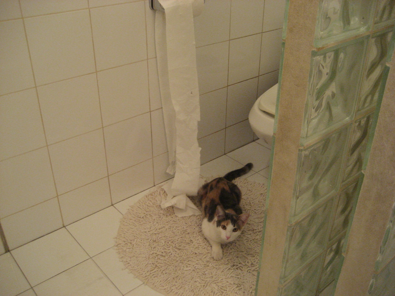 数据狂潮与逆袭之战，布雷默爆发助摩洛哥掀翻南非