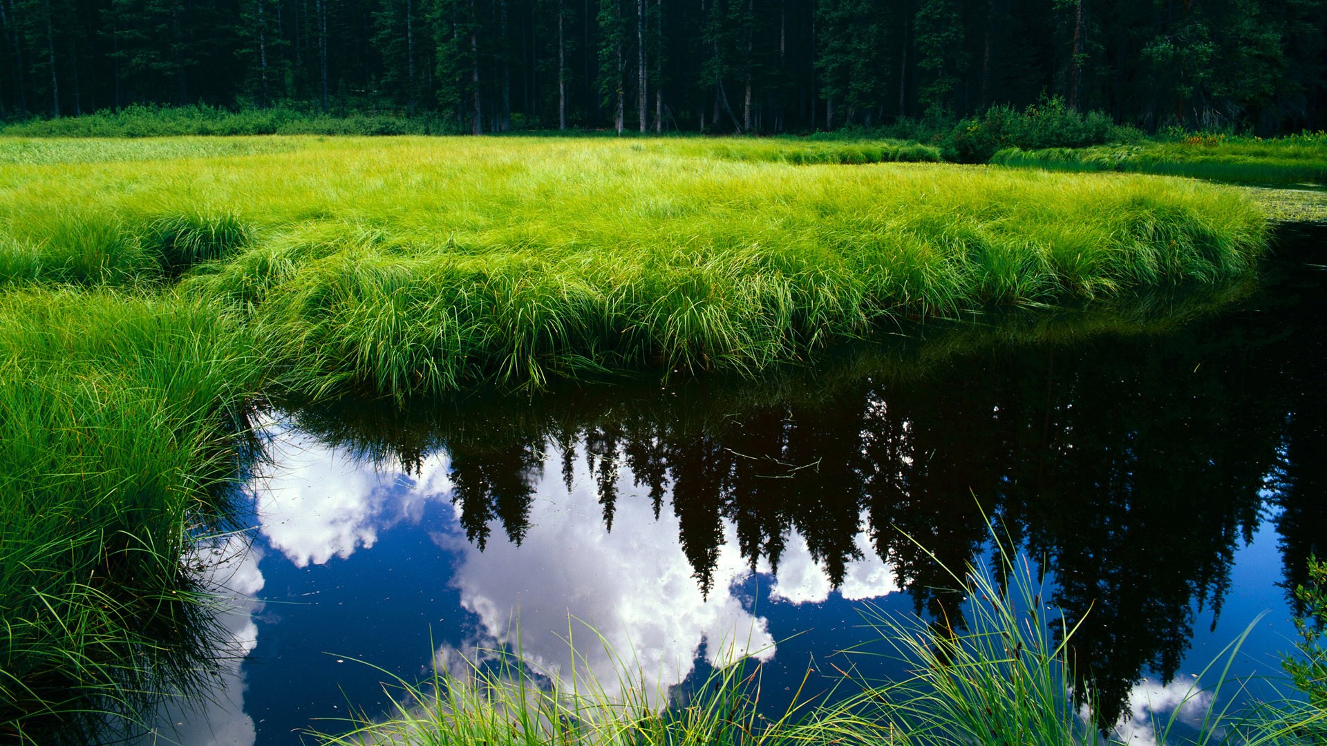 世纪足球之战,金字塔的智慧如何用砂砾体系锁死山姆鹰