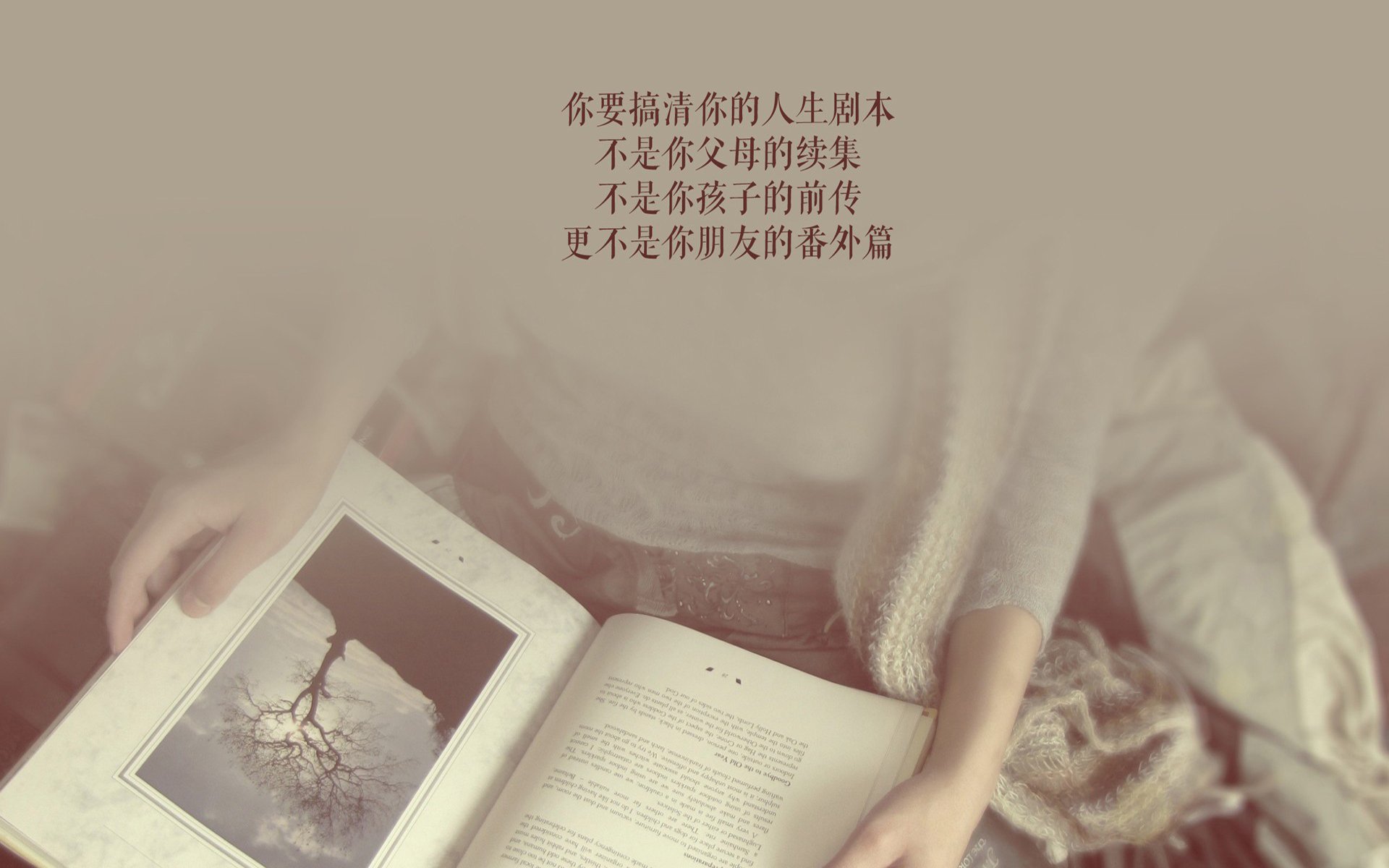 孤星闪耀，2026世界杯E组，波兰如何用一场全面压制重塑足坛秩序